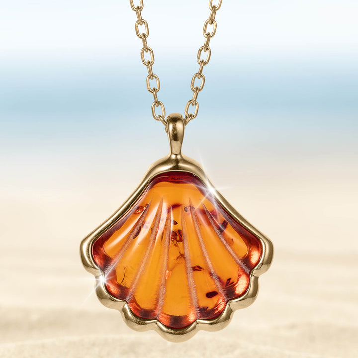 Daniel Steiger Sunset Shells Collection