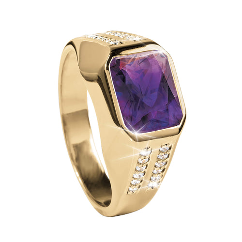 Daniel Steiger Saracen Purple Men&