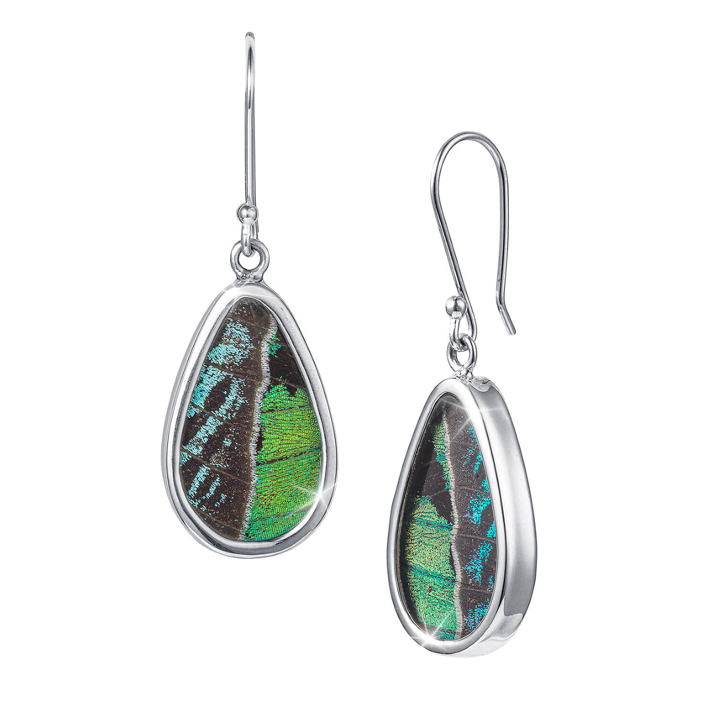 Daniel Steiger Butterfly Wings Earrings