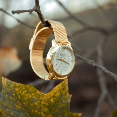 Daniel Steiger Marble Mesh Warm Gold Watch